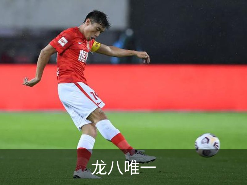走进龙八唯一